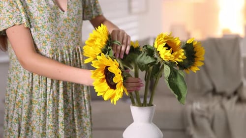 Teenage girl with beautiful sunflower at home, closeup