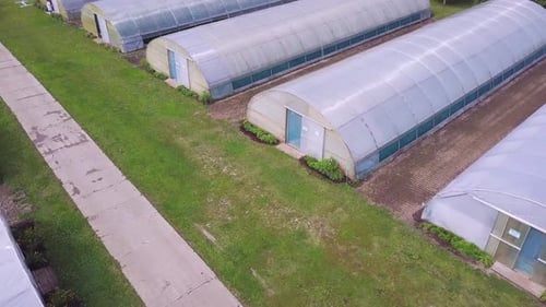 Greenhouses Array in Agricultural Landscape