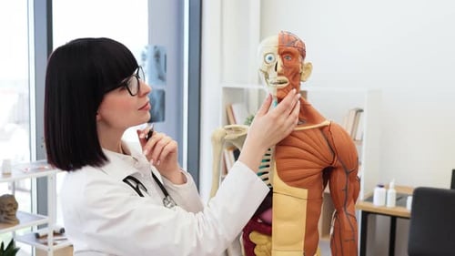 Doctora con modelo anatómico en un consultorio médico