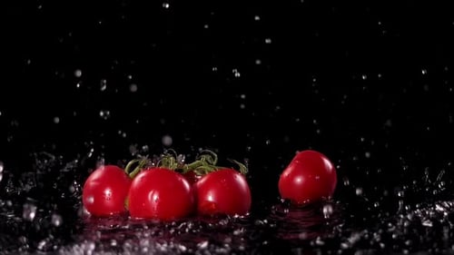 Juicy Tomatoes Dropping into Water