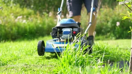 Lawn Mower Cutting Grass Small Grass Cuttings Fly Out of Lawnmower Grass Clippings Get Spewed Out of
