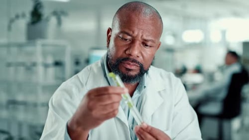 Science, lab and man with plant sample in test tube for medical research