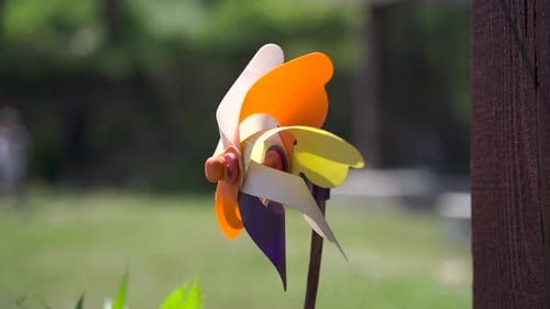 Colorful Pinwheel in the garden 4K