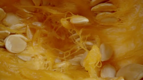 Halved Small Hokkaido Pumpkin on a Wooden Table with Scattered Seeds. Dolly slider extreme close-up.