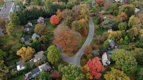 Upscale residential suburban area with lots of green and trees in colorful autumn foliage, aerial vi
