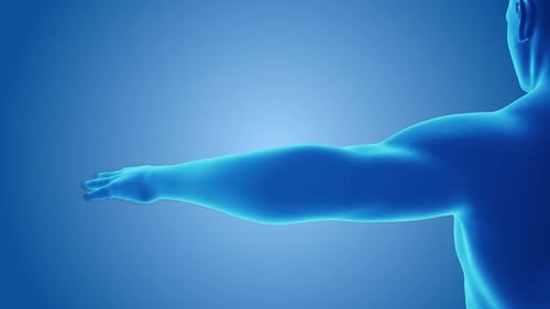 Ilustración médica que muestra el alivio del dolor en las articulaciones del brazo