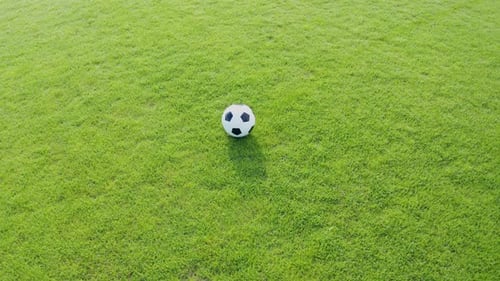 Aerial view soccer ball in green field.