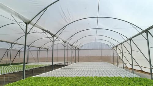 Aerial footage of a greenhouse farm and agricultural fields