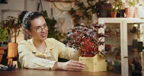 Close Up of Botanist Female Entrepreneur Store Owner Admiring and Taking Care of