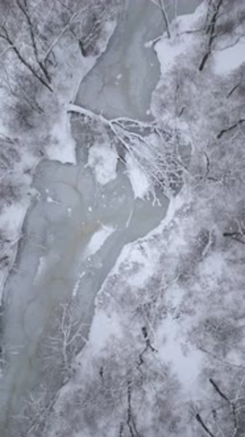 Icy Frozen River in Cold Winter Forest
