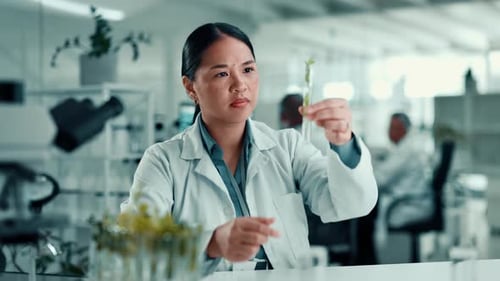Science, lab and woman with plant sample in test tube for medical research