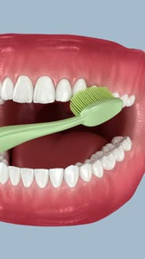 Toothbrush cleaning teeth. Medically accurate 3D Animation of oral hygiene