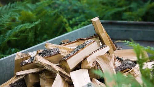 Newly cut pieces of firewood being thrown onto large pile, close view