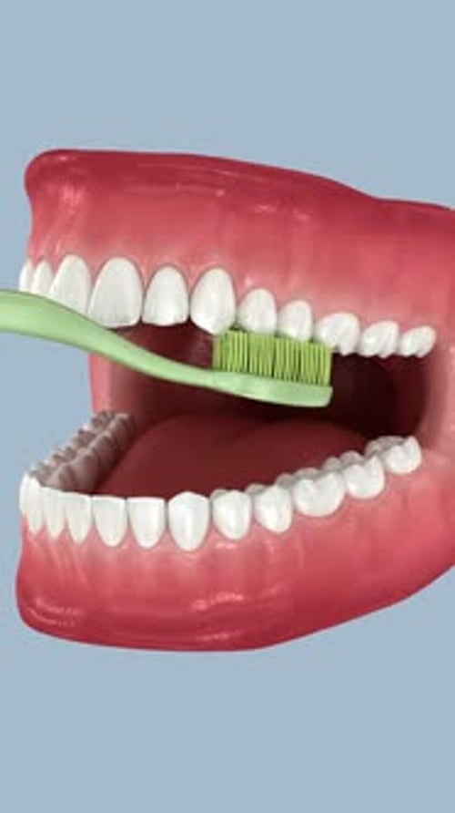 Toothbrush cleaning teeth