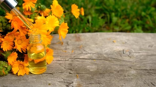 Foco seletivo de tintura e suplementos de calêndula