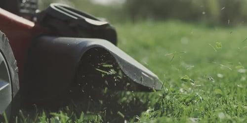 Lawn mower cutting the grass