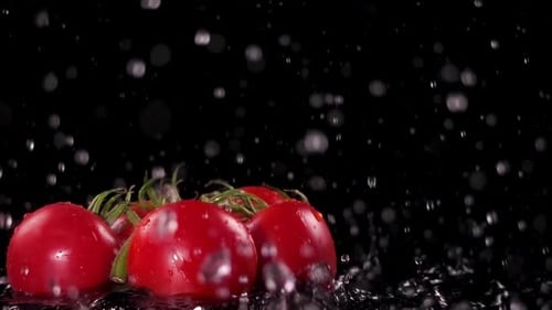 Juicy Tomatoes Dropping into Water