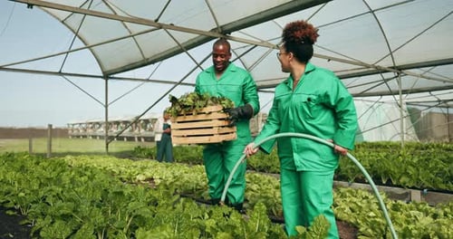 Greenhouse, farming and people planting seeds, sustainable business and cooperation with agriculture