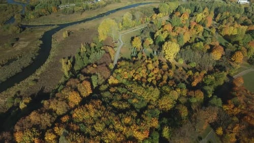 Autumn City Park. Trees With Colorful Leaves. A Winding Bike Path Is Visible Between The Trees