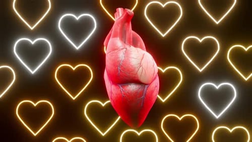 Menschliches Herz Hd