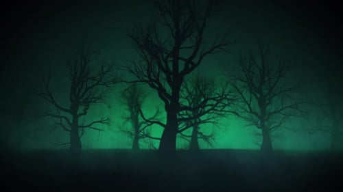 Horror-Wald-Hintergrund
