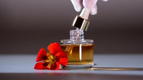 Produto de óleo essencial. Perfumaria. Gotas caindo da pipeta cosmética para o frasco de vidro com perfume