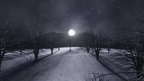 Snowy Moon Lit Night