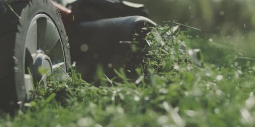 Mowing grass with lawn mower