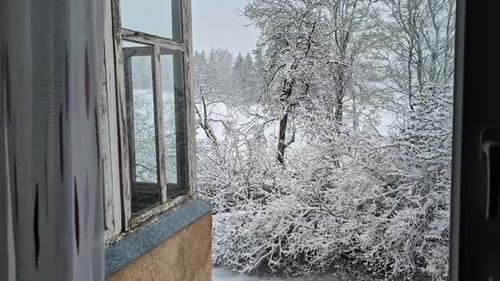 Snow covered trees and landscape through window of old home, dolly forward view