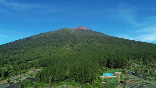 Aerial View of A lush green mountainside with terraced farmland and a blue sky.