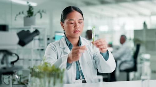 Science, woman and test tube with plant in laboratory for sample analyzing