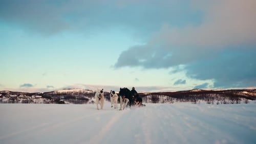 Two Husky Sled Dog teams Pulling a Sled through the Norwegian Snowy Landscape. Riding husky sledge i