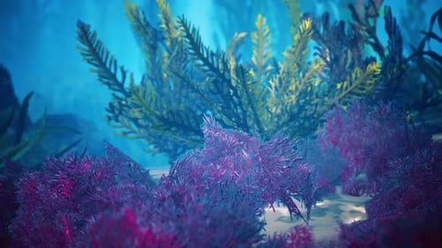 Underwater Coral Reef with Sun Rays