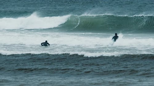 Surfing in Teriberka Surfers in the Sea with Rough Waves and Windy Conditions Cold Water Surfing