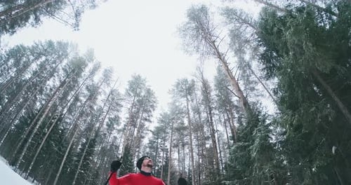 Cross country skier. Young man in red ski suit stands on the cross country ski track in a forest and