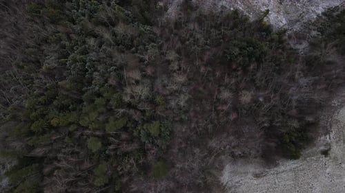 Flying over the trees and overlooking the forest during a light beginning snowfall.