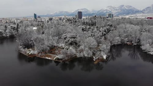 Quiet city park and calm lake in a winter cold day with trees covered in white snow