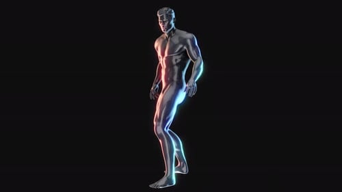 Male Anatomy Exercise Idle