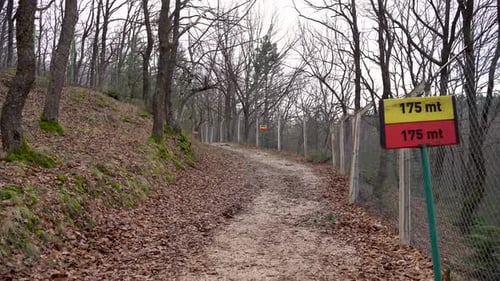 Walking path between trees in autumn 4K