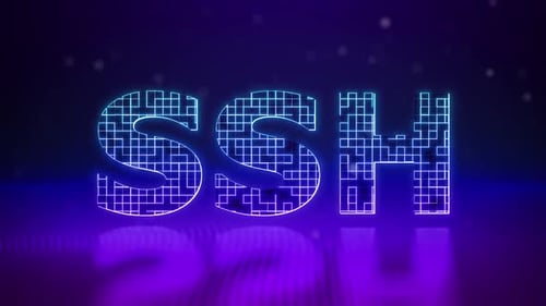 Ssh Neon Digital