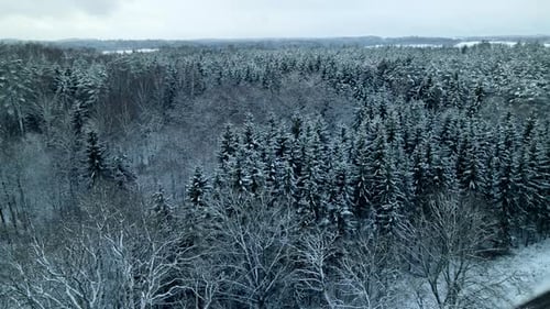 Panoramic View Of Winter Landscape - Coniferous And Bare Trees Covered With Snow During Winter Near