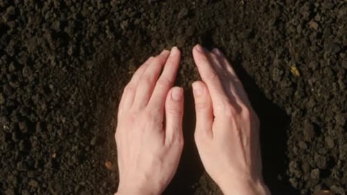 Hands Holding an Earth Heart