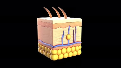 Layers of Skin Collagen Science Serum Skincare Able to Loop Endless