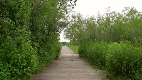 Walking path in Woodbine Park, Toronto 4K