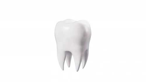 Human tooth model, tooth with plaque, unhealthy tooth, alpha channel, 3d rendering.
