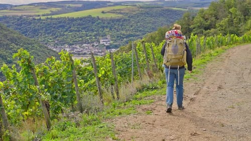 Backpacker hiking on dirt trail next to a vineyard and small village in the distance, Germany