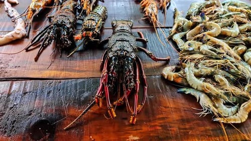 incredible giant lobster in a seafood market in Sri Lanka