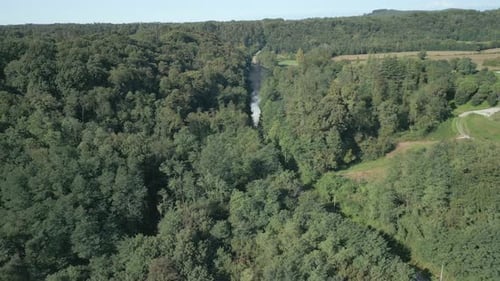 Steam Train Aerial View