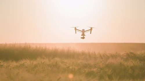 Front View of White Drone Flying Over Field in Harvest Out of Town Horizon Shooting of Quadcopter