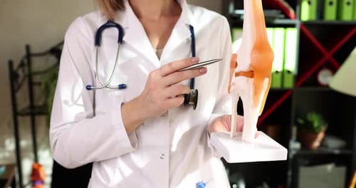 Orthopedic Consultation Doctor Explaining Knee Joint Problems Using an Anatomical Model
